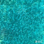 川平マリンサービスに投稿された画像（2022/12/16）