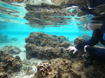 武藤潜水に投稿された画像（2022/12/16）