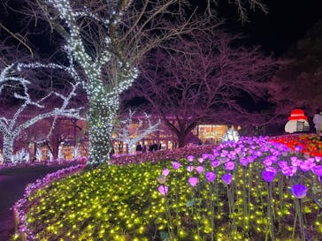 さがみ湖MORI MORIに投稿された画像（2022/12/16）