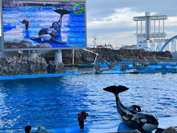 名古屋港水族館に投稿された画像（2022/12/16）
