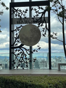 ハルカス300(展望台)に投稿された画像（2022/12/16）