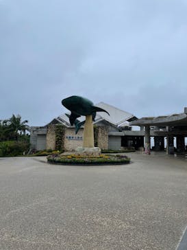 沖縄美ら海水族館に投稿された画像（2022/12/16）