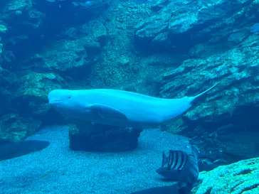 仙台うみの杜水族館に投稿された画像（2022/12/16）