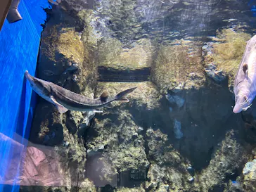 仙台うみの杜水族館に投稿された画像（2022/12/16）