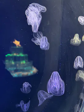 仙台うみの杜水族館に投稿された画像（2022/12/16）