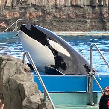 名古屋港水族館に投稿された画像（2022/12/16）
