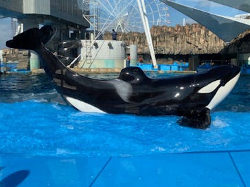 名古屋港水族館に投稿された画像（2022/12/16）