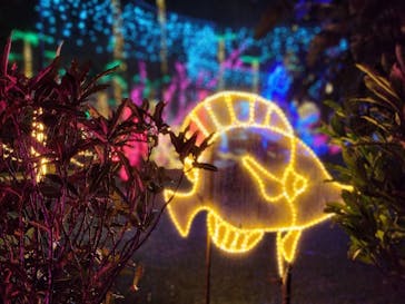 美らヤシパークオキナワ・東南植物楽園に投稿された画像（2022/12/16）