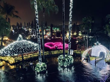 美らヤシパークオキナワ・東南植物楽園に投稿された画像（2022/12/16）