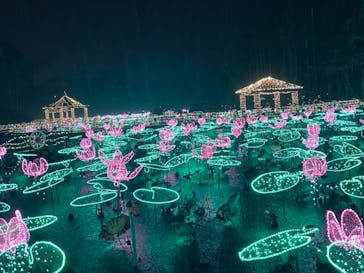 美らヤシパークオキナワ・東南植物楽園に投稿された画像（2022/12/16）