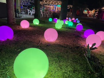 フェスタ・ルーチェに投稿された画像（2022/12/16）