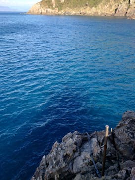 名古屋港水族館に投稿された画像（2022/12/16）