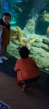 名古屋港水族館に投稿された画像（2022/12/16）