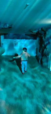 名古屋港水族館に投稿された画像（2022/12/16）