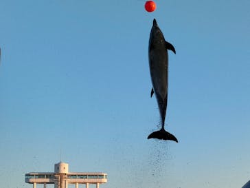 名古屋港水族館に投稿された画像（2022/12/16）
