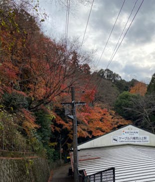 京阪電車に投稿された画像（2022/12/16）