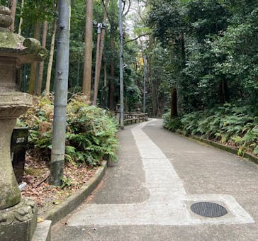 京阪電車に投稿された画像（2022/12/16）