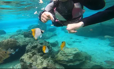 武藤潜水に投稿された画像（2022/12/16）