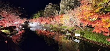 なばなの里に投稿された画像（2022/12/17）