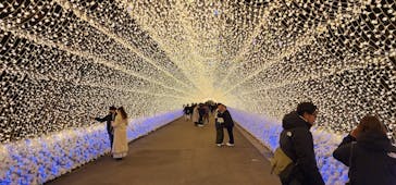 なばなの里に投稿された画像（2022/12/17）