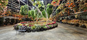 なばなの里に投稿された画像（2022/12/17）