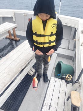 沖縄海うさぎ・海あしびに投稿された画像（2022/12/17）