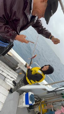 沖縄海うさぎ・海あしびに投稿された画像（2022/12/17）