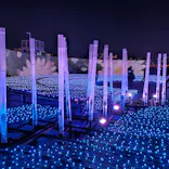 東京メガイルミに投稿された画像（2022/12/17）