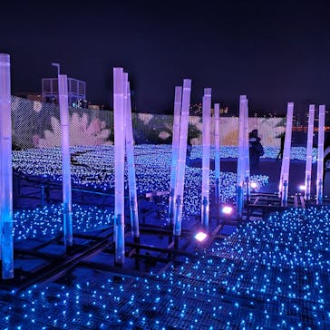 東京メガイルミに投稿された画像（2022/12/17）