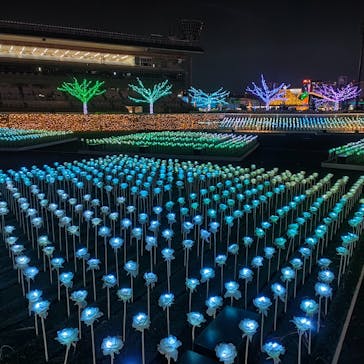 東京メガイルミに投稿された画像（2022/12/17）