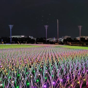 東京メガイルミに投稿された画像（2022/12/17）