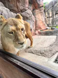 天王寺動物園に投稿された画像（2022/12/17）