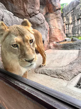 天王寺動物園に投稿された画像（2022/12/17）