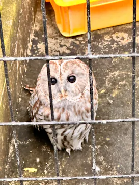 天王寺動物園に投稿された画像（2022/12/17）