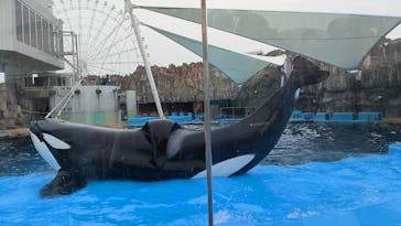 名古屋港水族館に投稿された画像（2022/12/17）