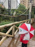 天王寺動物園に投稿された画像（2022/12/17）