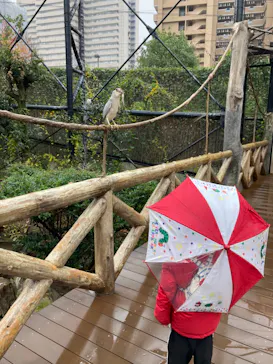 天王寺動物園に投稿された画像（2022/12/17）