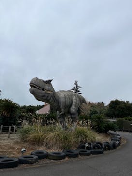 伊豆ぐらんぱる公園に投稿された画像（2022/12/17）