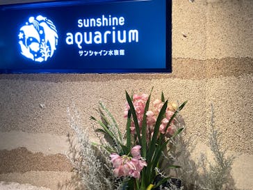 サンシャイン水族館に投稿された画像（2022/12/17）