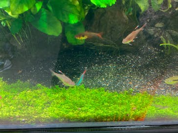 サンシャイン水族館に投稿された画像（2022/12/17）