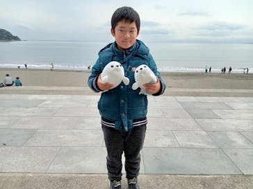 新江ノ島水族館に投稿された画像（2022/12/17）