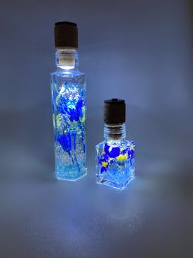 ずこうしつ〜sugamo〜に投稿された画像（2022/12/17）