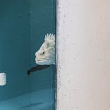 アクアワールド茨城県大洗水族館に投稿された画像（2022/12/17）