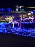 伊豆ぐらんぱる公園に投稿された画像（2022/12/17）