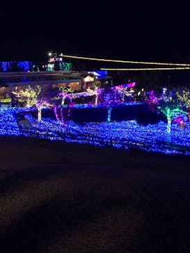 伊豆ぐらんぱる公園に投稿された画像（2022/12/17）
