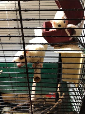 伊豆ぐらんぱる公園に投稿された画像（2022/12/17）