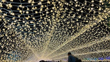 東京メガイルミに投稿された画像（2022/12/17）