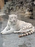 東武動物公園に投稿された画像（2022/12/17）