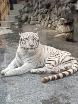 東武動物公園に投稿された画像（2022/12/17）