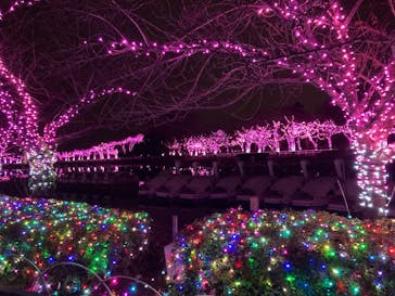 東武動物公園に投稿された画像（2022/12/17）